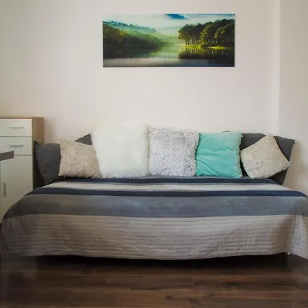 Beautiful With A Large Bed In A 3-room With Parking * Ljubljana